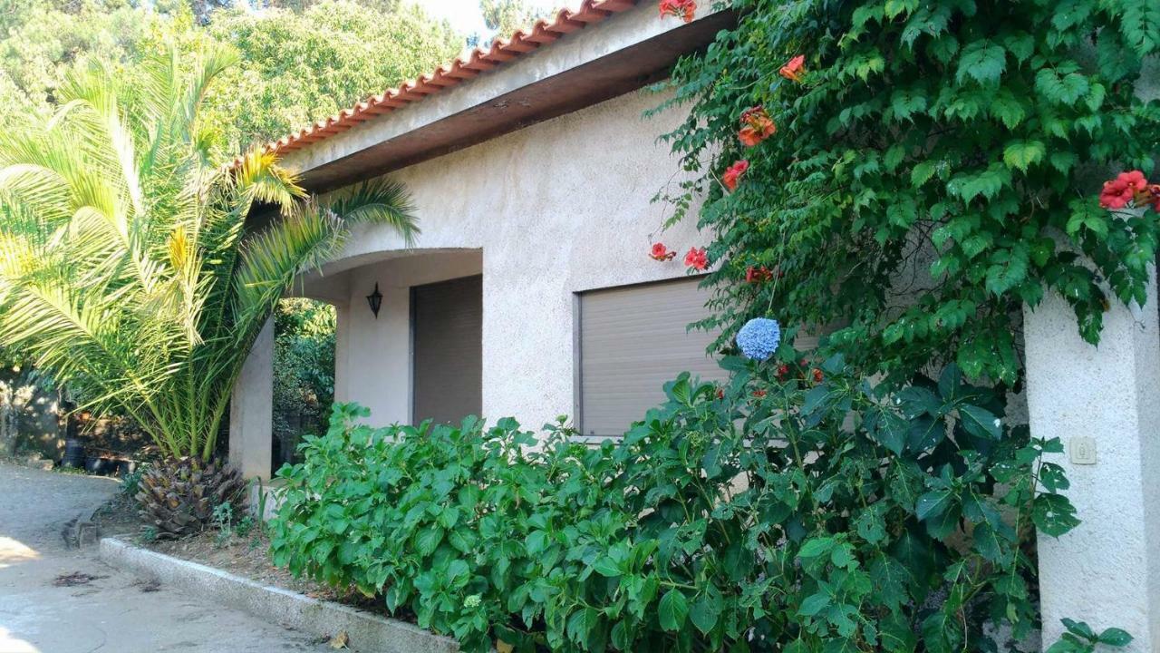 Casa Deus Βίλα Sabrosa Εξωτερικό φωτογραφία
